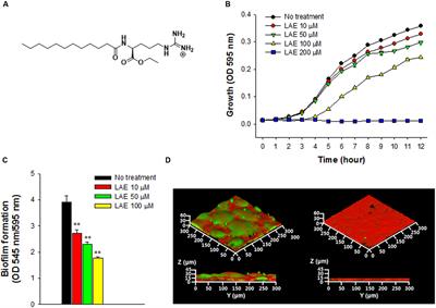 Lauroyl Arginate Ethyl Blocks the Iron Signals Necessary for Pseudomonas aeruginosa Biofilm Development